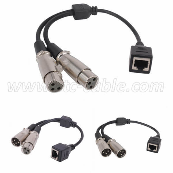 Dual XLR 3pin to RJ45 Female Adapter Cable