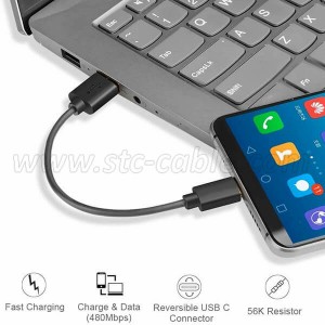 short usb c charge cable