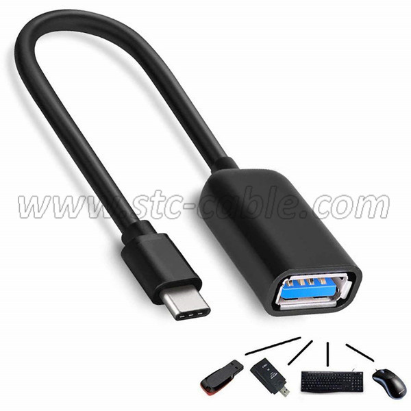 USB C OTG Cable