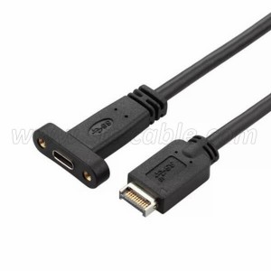USB 3.1 Front Panel Header to USB-C Type-C Female Extension Cable