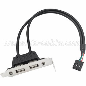 2 Port USB 2.0 Rear Panel Extension Internal Bracket Connector Cable