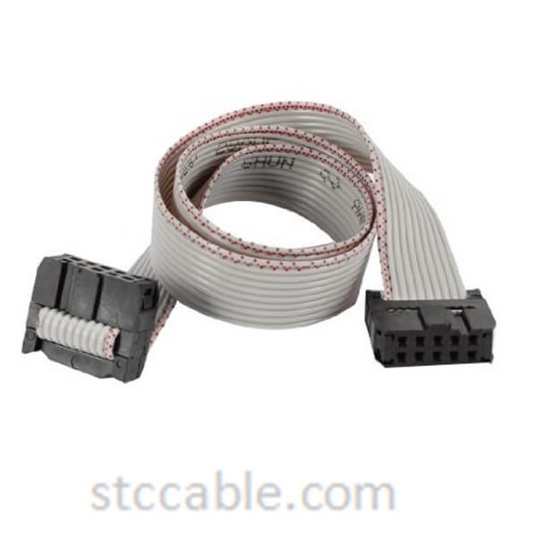10 inch Long Dual IDC FC-10P Connector JTAG Download FFC Cable Wire