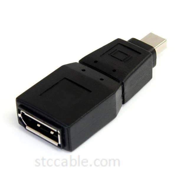 Mini DisplayPort to DisplayPort Adapter Converter – male to female