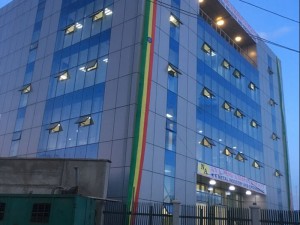 Chinese Professional Metal Business Building – Ethiopia Office Building – Xinguangzheng