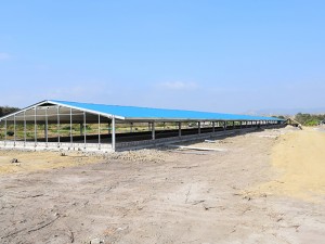 OEM Manufacturer Steel Structure Broiler Chicken Farm - Hot sale poultry farming house and equipment poultry feed machine – Xinguangzheng