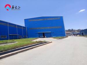 Xinguangzheng Manufacturer Galvanized Fabricated Light Steel Frame Building Structure from China