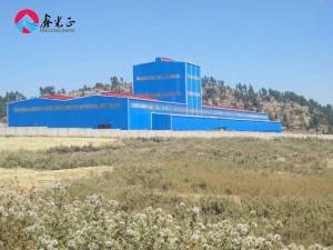 Xinguangzheng Manufacturer Galvanized Fabricated Light Steel Frame Building Structure from China