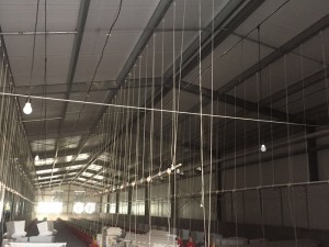 Prefabricated steel chicken layer cage poultry farm building in Qatar