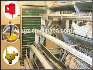 Factory hot-sale high quality chicken equipment and steel structure poultry house