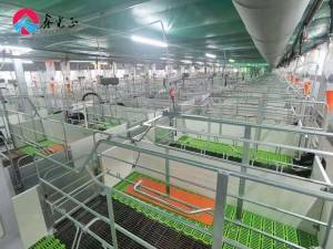 Prefabricated steel structure poultry house building with animal feeder stainless steel pig feed trough