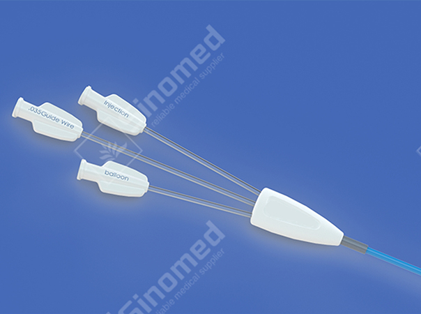 Stone Extraction Balloon Catheter