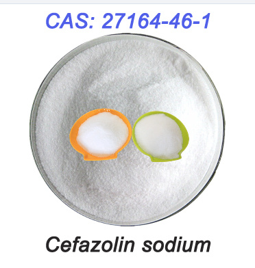 OEM Supply Gentamycin Sulphate 1405-41-0 - Cefazolin Sodium  – Tecsun