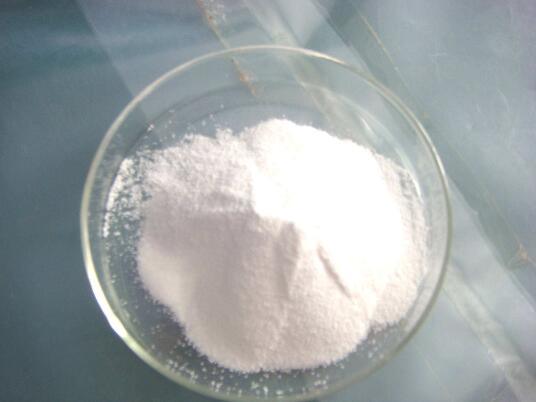 6-Aminopenicillanic Acid