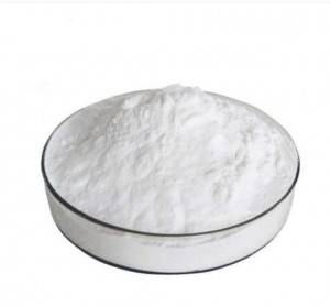 18 Years Factory Mezlocillin Sodium 59798-30-0 - Cefalexin Monohydrate  – Tecsun