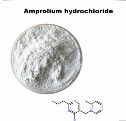 Factory directly supply 0 – Streptomycin Sulphate 3810-74-0 - Amprolium – Tecsun