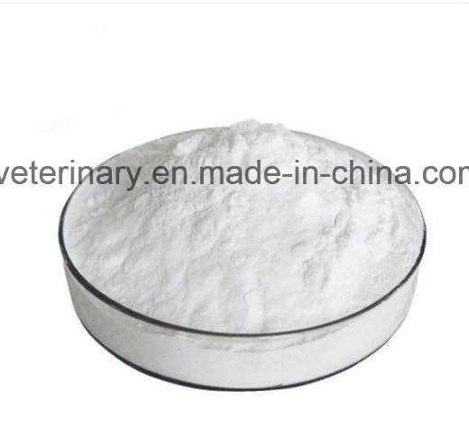 Super Lowest Price High Quality Azithromycin Manufacturers - Cefalexin Monohydrate Powder with GMP Veterinary API – Tecsun