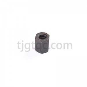 Hex Socket Nut and Galvanized Hex Nuts