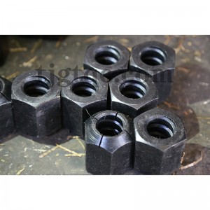 Locking Hex Nut and Nailing Nut