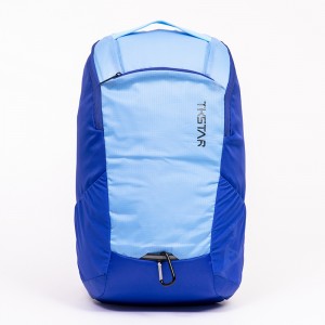 2021 New Design Fashion Light Weight Hiking Travel Backpack