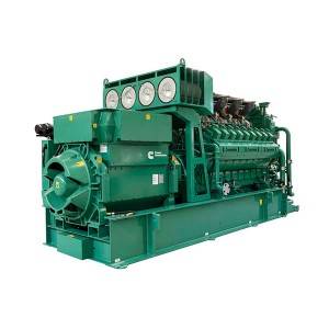 OEM/ODM Factory Natural Gas Generator Sets -
 Sewage Gas Generator – Tontek