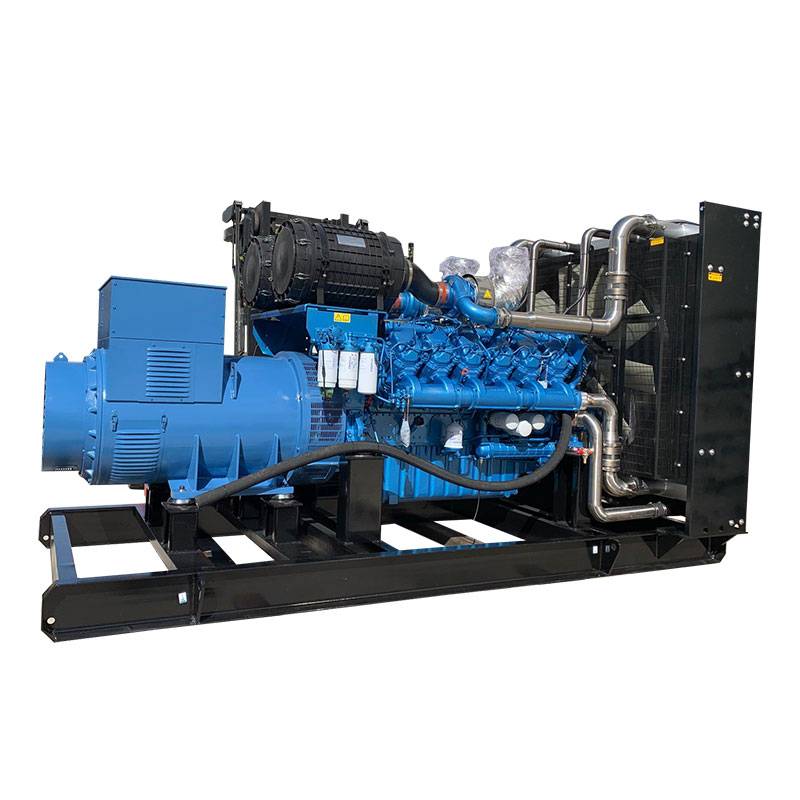 Manufacturer of Marine Generators For Boats - Baudounin Open Type Diesel Generator – Tontek