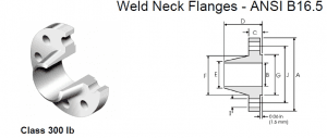 Welding Neck Flange(W/N)300LBS
