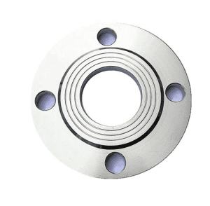12 in. Stainless Steel Blind Flange 304/304L  150# ANSI Raised Face