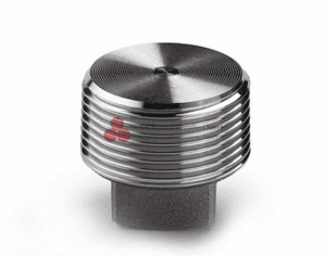 Stainless Steel Forged Fittings NPT &Round Head Plug
