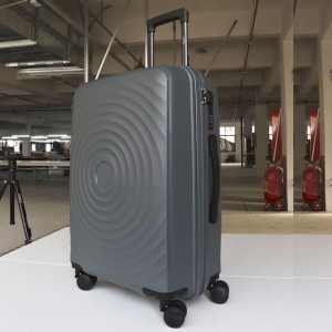 pp luggage set