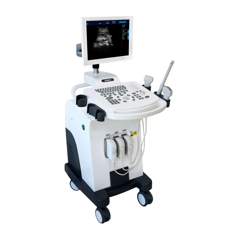 full-digital black and white ultrasound diagnostic system