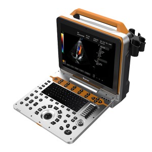 DW-P60(P8Lite) portable 4D cardiovascular ultrasound scanner machine