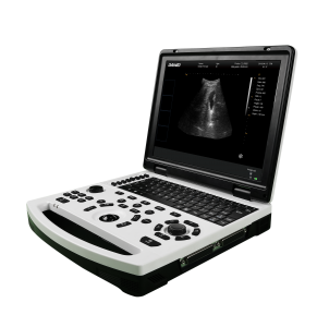 DW-690 laptop black and white ultrasound system
