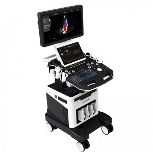 DW-T8 powerful echo ultrasound professional 4d ultrasound machine