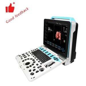 DW-P5PRO Perfect Obstetric Assistant