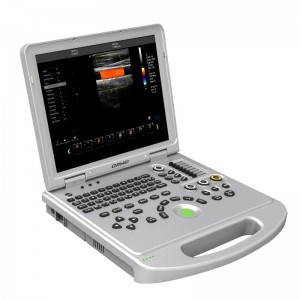 DW-L5（PF522） economical type laptop color doppler ultrasound baby scan