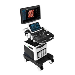 DW-T5PRO Perfect Obstetric Assistant