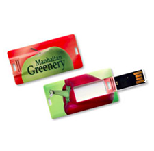 Logotipo personalizado, Design extra fino, Cartão de crédito USB Flash Drive Pen Drive Memory Stick