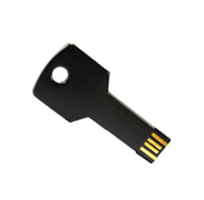 Wasserdichtes USB-Laufwerk in Schlüsselform mit Hochgeschwindigkeits-UDP-Blitz.  PMS Farbe verfügbar