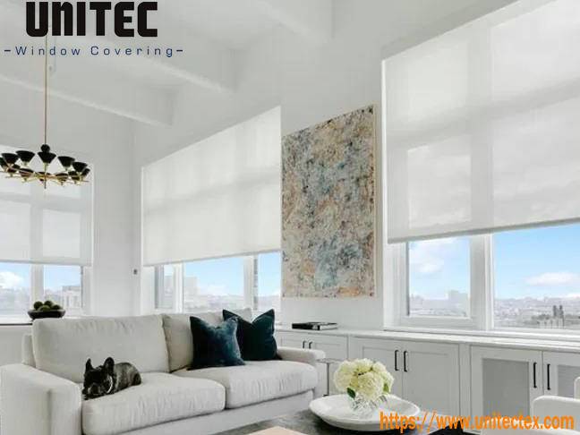 IMPORTANT ASPECTS TO CONSIDER WHEN CHOOSING ROLLER BLINDS