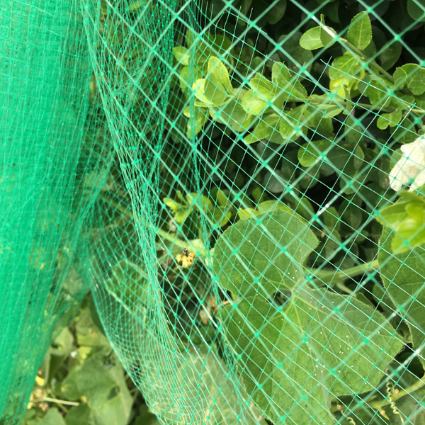Ṣiṣu Anti Bird Netting
