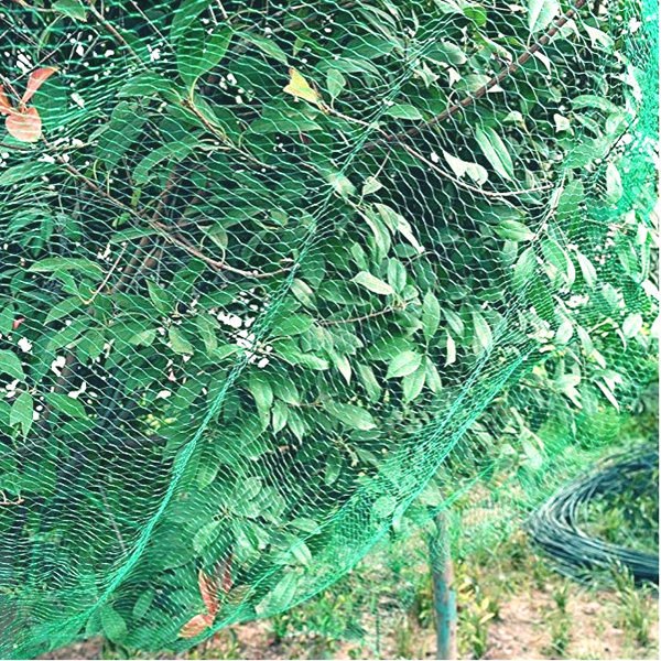garden anti bird netting