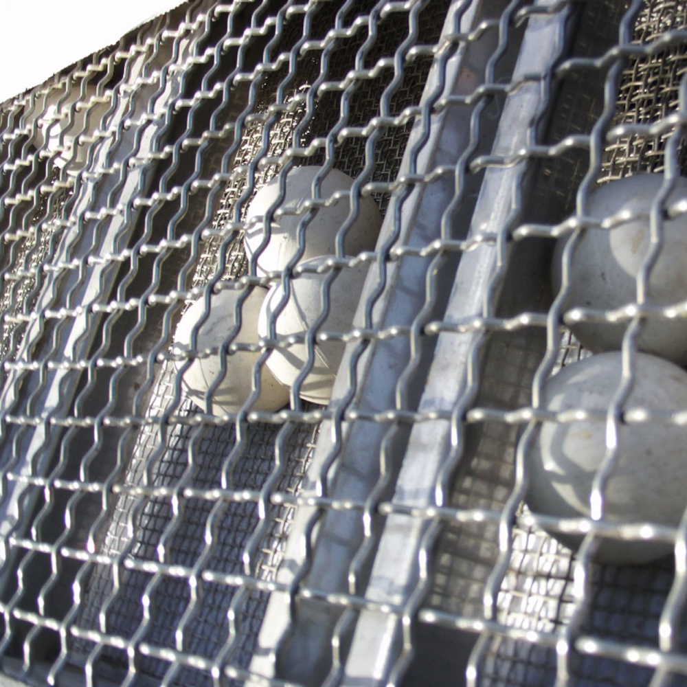 chicek house wire mesh
