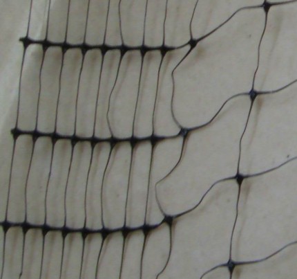 bird net edges
