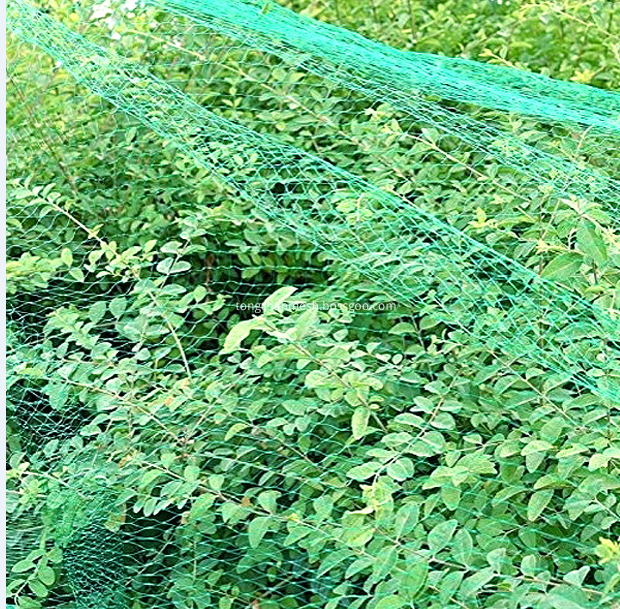 Agricultural Fruit Bird Netting