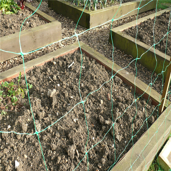 Agricultural Trellis Net