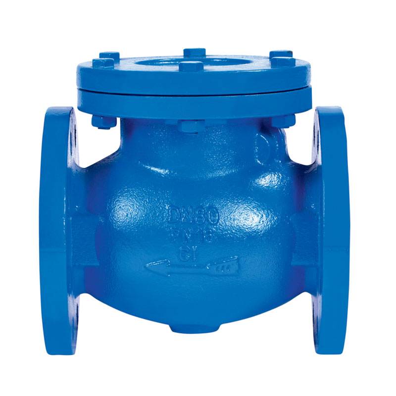 Original Factory Ductile Iron Grooved Pipe Fitting -
 Flange End Swing Check Valve PN25 – Kingnor