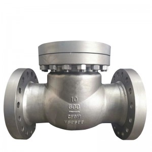 API 603 Corrosion resistant check valve