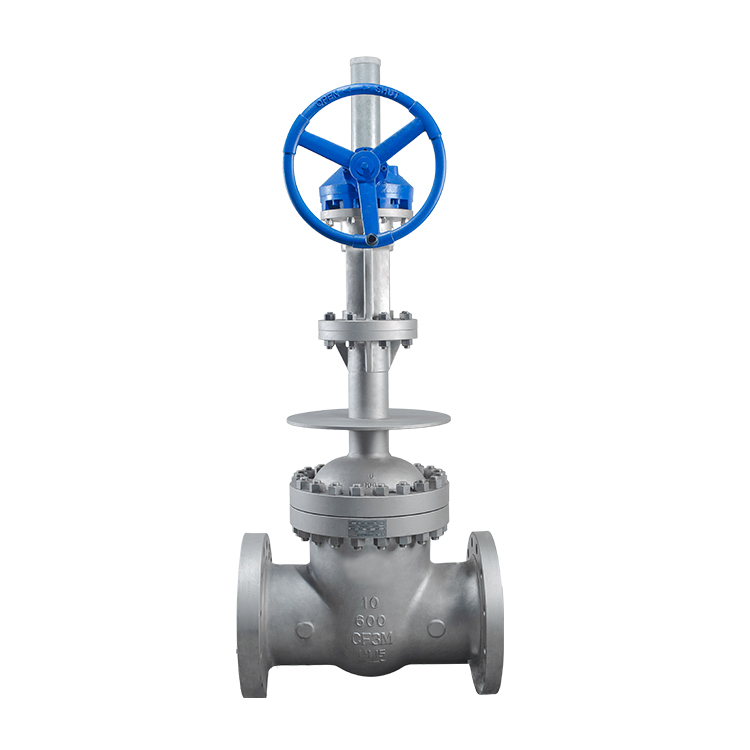 OEM Customized Ptfe Flange Gasket -
 Cryogenic globe valve – Kingnor