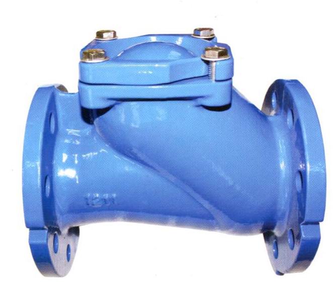 High Quality Pe100 Hdpe Pipe -
 Flanged Ball Check Valves – Kingnor