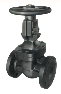 Manufacturing Companies for 316l Bolts And Nuts -
 Flanged End Rising Stem Gate Valves-MSS SP-70 250LB – Kingnor